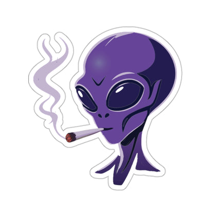 Cosmic Stoner Sticker - Free Shipping